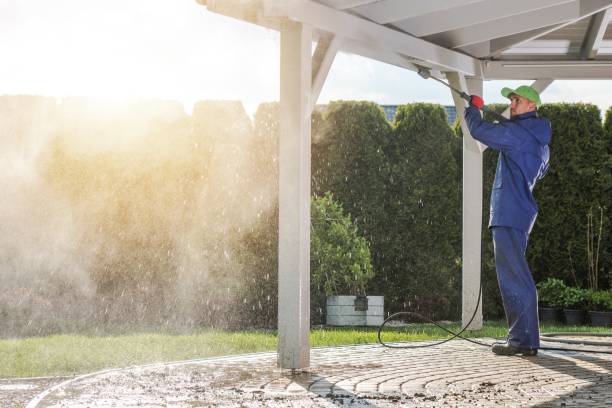 Best Graffiti Removal  in Withamsville, OH